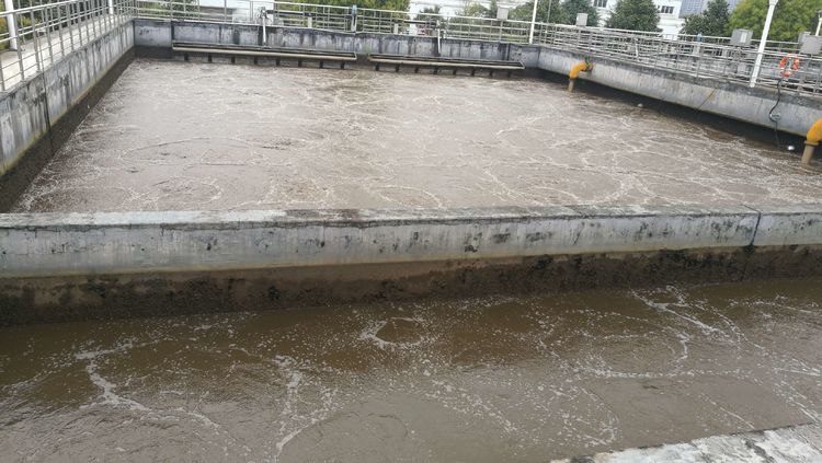 污水處理廠6